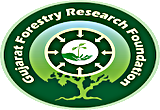 Gujarat Forestry Research Foundation