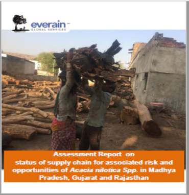 Assessment of Acacia Wood Supply Chains in three states viz. Gujarat, Rajasthan and Madhya Pradesh